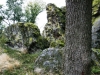 Das Naturdenkmal Berger Wacken bei Berglicht